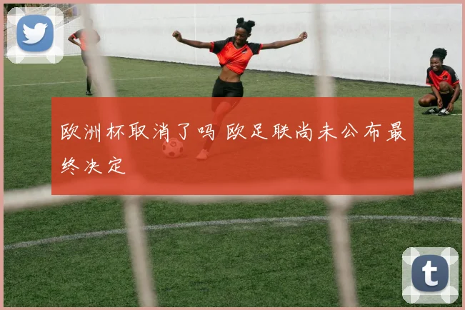 欧洲杯取消了吗 欧足联尚未公布最终决定