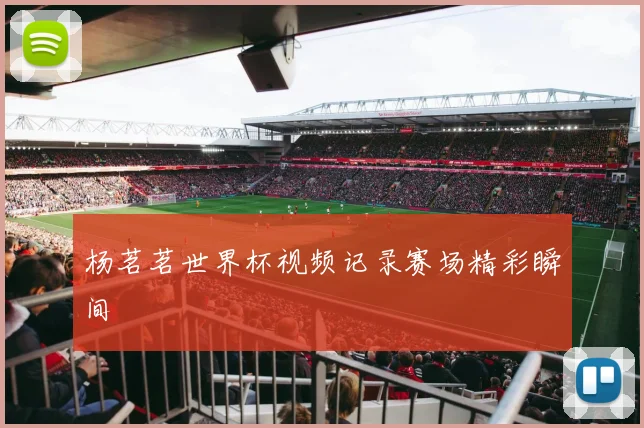 杨茗茗世界杯视频记录赛场精彩瞬间